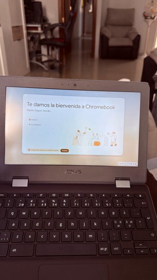 ASUS Chromebook Flip C214M Portátil