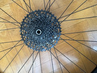 Ruedas Roval MTB