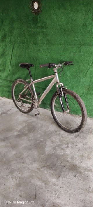 Bicicleta de montaña plateada