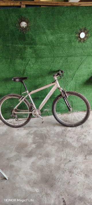 Bicicleta de montaña plateada