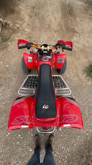Quad Gas Gas Wild 450 HP