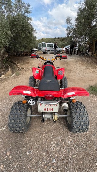 Quad Gas Gas Wild 450 HP