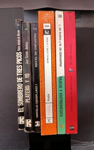 Lote 6 libros clásicos literatura española