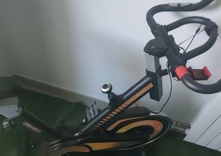 Bicicletta Statica Spinning Professionale