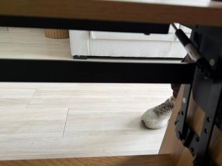Mesa de centro elevable madera y metal
