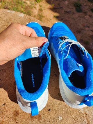 Salomon Sense Ride 5 - Talla 43