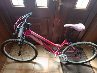 Bicicleta niña Wolfbike rosa 8-12 años