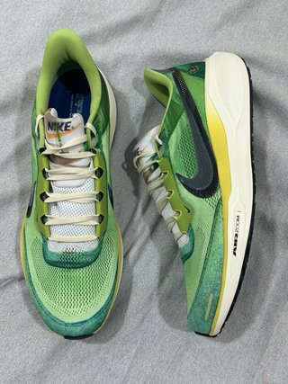 Nike Air Zoom Pegasus 41 SE Verde Multicolor