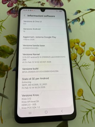Samsung Galaxy A33 5G SM-A336B/DSN