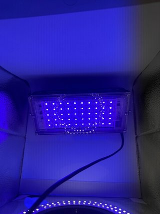 Foco Ultravioleta LED