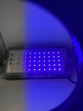 Foco Ultravioleta LED