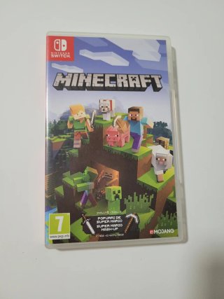 Minecraft Nintendo Switch