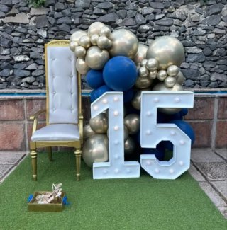 Alquiler Silla Trono Celebraciones