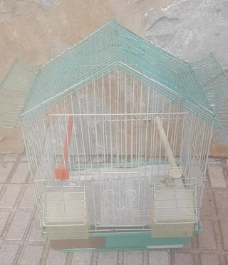 3 Jaulas para Aves/Pájaros Verdes