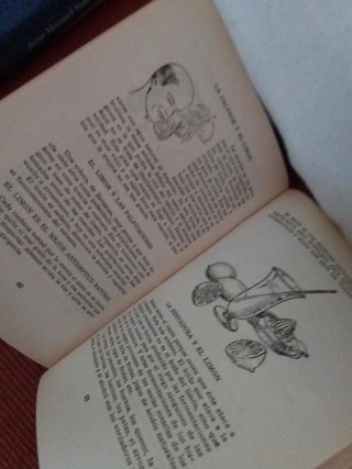 Medicina natural y recetas