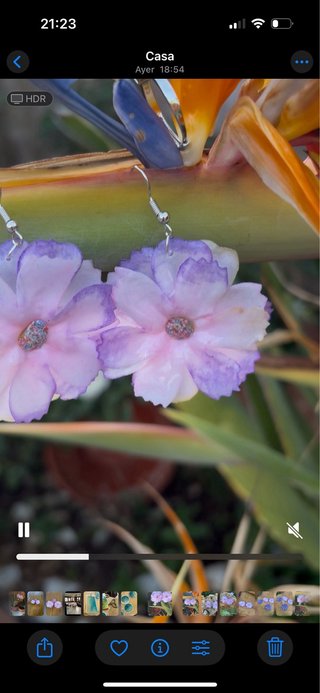 Pendientes flores secas morado y blanco