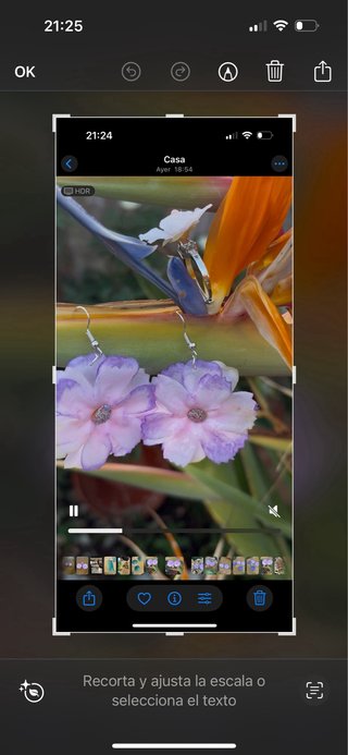 Pendientes flores secas morado y blanco