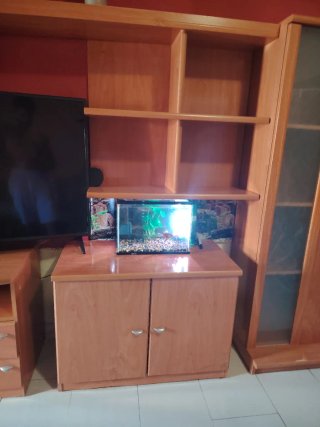 Mueble de madera y cristal. Me mudo y no los quier