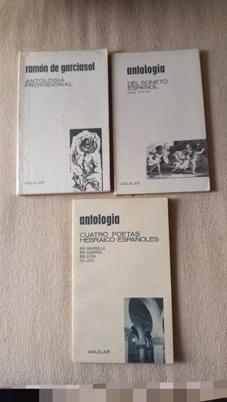 Lote libros literatura
