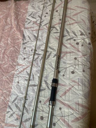 Caña Surfcasting Daiwa