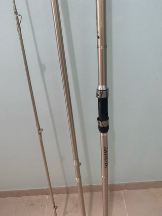 Caña Surfcasting Daiwa
