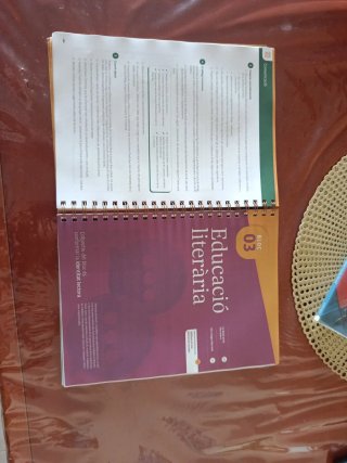 Llengua Catalana i Literatura 2