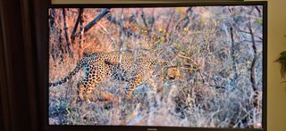 Monitor Samsung 32 4K UHD