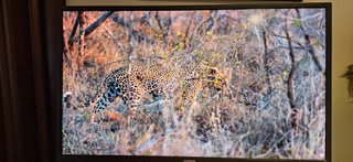 Monitor Samsung 32 4K UHD