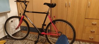 Bicicleta de Montaña
