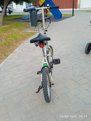 Bicicleta plegable plateada