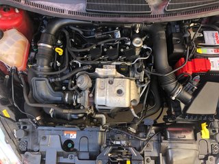 Ford Fiesta STLINE, 100cv, único prop, cámara...
