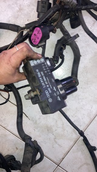 Instalación eléctrica Seat Ibiza 6K2