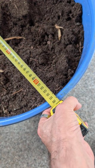 Maceta de cerámica 56cm + sustrato de calidad
