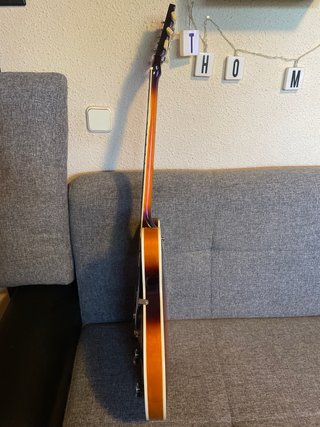 Guitarra Semi-Hollow CUSTOM 77 Needles & Pins