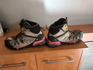 Botas Merrell Capra Mid GTX