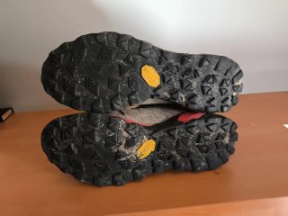 Botas Merrell Capra Mid GTX