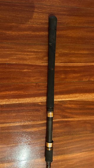 Caña Shore Gun Evolv SFSGS-993 SS