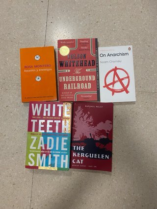 Lote de libros (Zadie Smith, Chomsky, Whitehead...