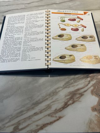 Atlas de Ciencias