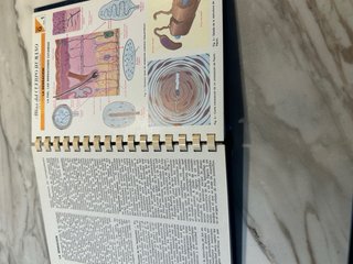 Atlas de Ciencias