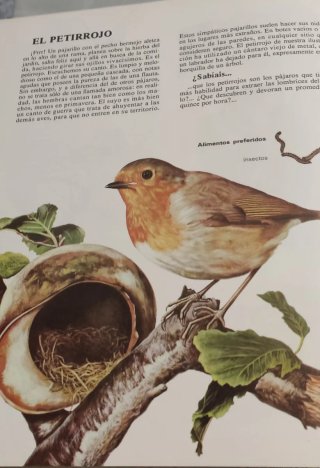 Colección Vida Íntima de los Animales
