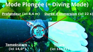 RELOJ Buceo, Apnea, Pesca sub. DiVONEA (NUEVO).