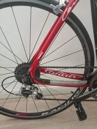 Wilier Triestina 501 Carbonio - Ottime Condizioni