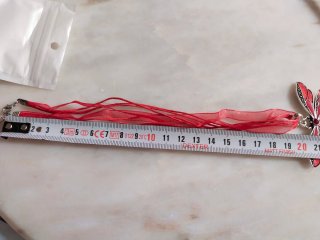 Collar libélula rojo y plateado