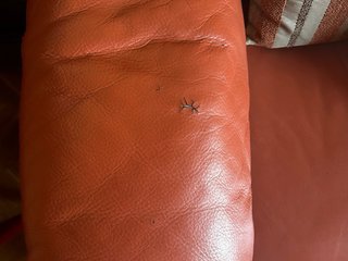 Sofá de Piel 3+2 Plazas Color Teja