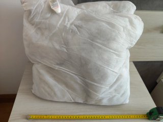 2 Rellenos Cojín Blanco