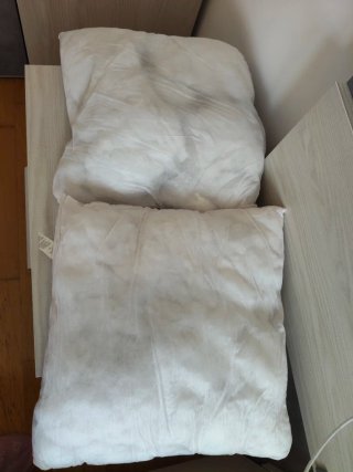 2 Rellenos Cojín Blanco