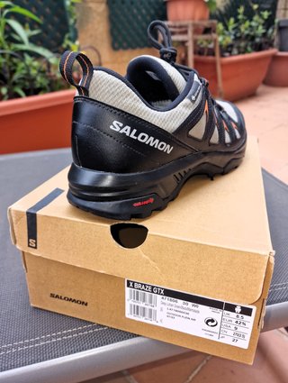 Zapatillas Salomon X Braze GTX Talla 42.5