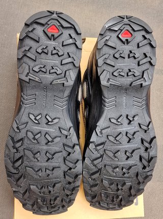 Zapatillas Salomon X Braze GTX Talla 42.5