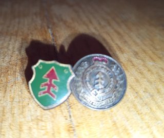 Lote Pins Colección Años 80 y 90